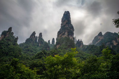 Low angle view of rocks and trees against sky