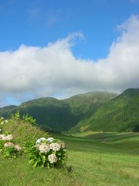 Scenic view of mountains against sky