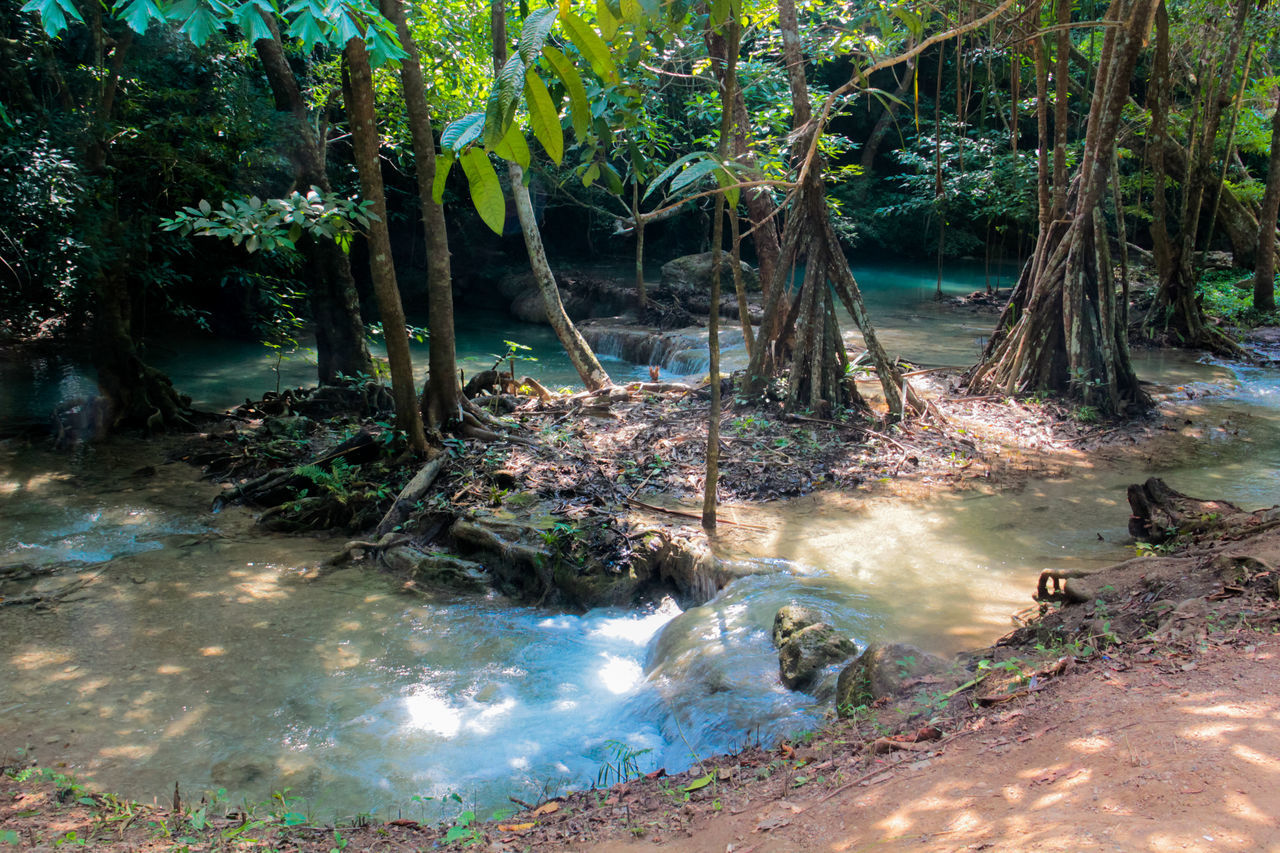 SCENIC VIEW OF WATERFALL IN FOREST