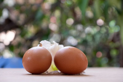 Close-up of fruits on table