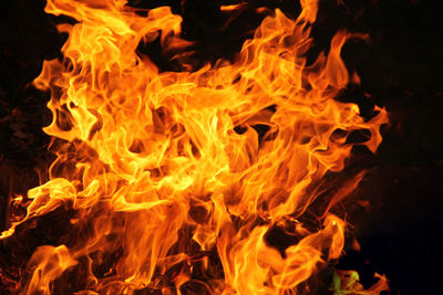 Close-up of fire against black background