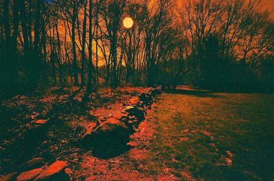 Reflection of orange sky on water