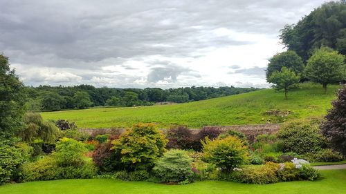 Scenic view of landscape against cloudy sky