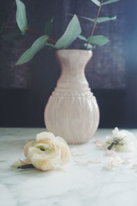 Ranunculus with vase on table