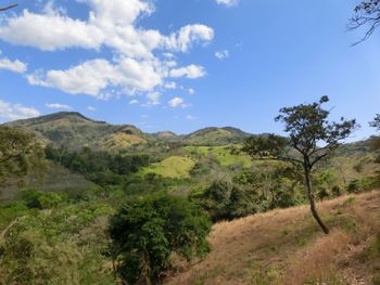 Scenic view of forest and mountains against sky