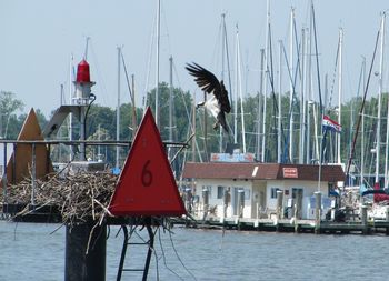 Birds perching on wooden post by sea against sky