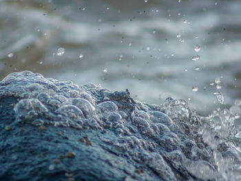 Close-up of water splashing on crab clinging to rocks