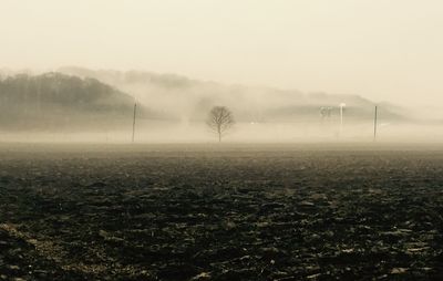 Scenic view of landscape in foggy weather