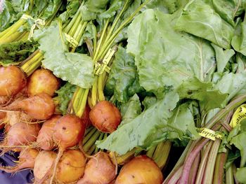 Organic root vegetables at farmers market