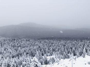 Scenic view of field against sky during winter