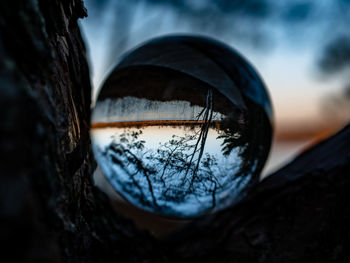 Close-up of reflection of trees on water