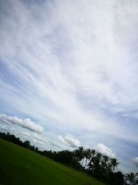 Trees on field against cloudy sky