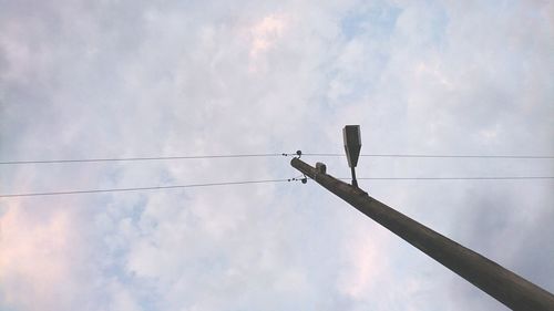 Low angle view of bird perching on cable against sky