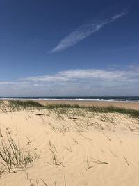 Scenic view of beach against blue sky