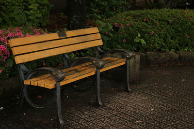 Empty bench in park