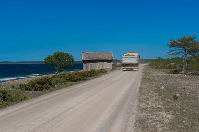 Road along trees