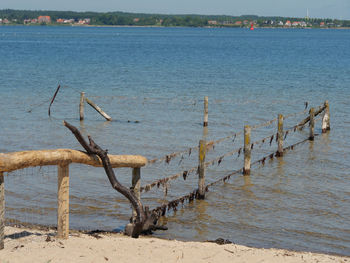 Wooden posts on beach