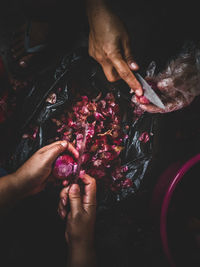 High angle view of people cutting onions