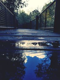 Reflection of trees in puddle