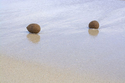 High angle view of stones on beach