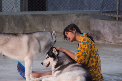 Mid adult woman with siberian huskies sitting outdoors