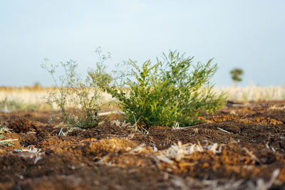 Surface level of land against sky