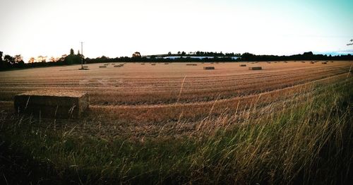 Hay bales on field against clear sky