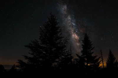 Low angle view of silhouette trees against sky at night