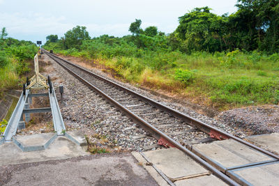 Railroad tracks by trees against sky