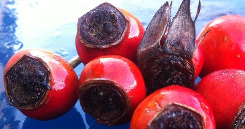 Close-up of tomatoes