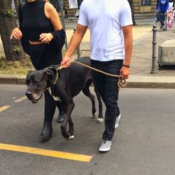 Low section of man with dog walking on road