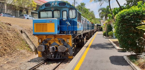 Train on railroad track amidst trees