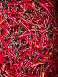 Full frame shot of red chili peppers