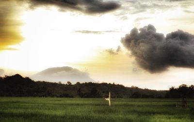 Scenic view of field against sky during sunset