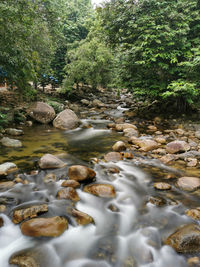 River flowing through rocks in forest