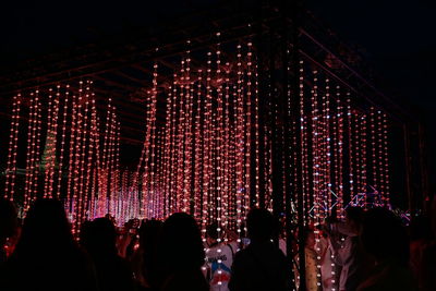 Crowd at music concert