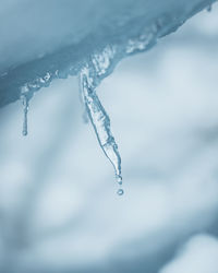 Close-up of frozen water