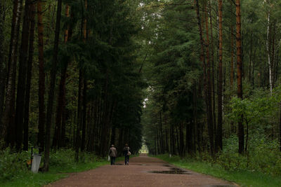 Man on road amidst trees in forest