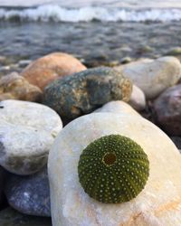 Close-up of stones on beach