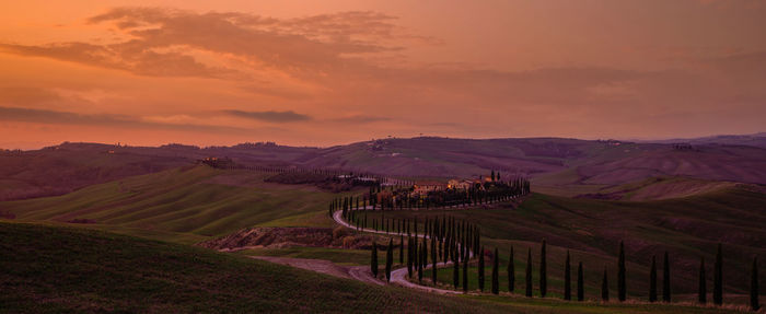 Scenic view of agricultural field against sky during sunset