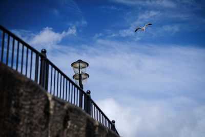 Low angle view of seagull flying in sky