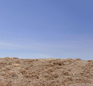 Scenic view of field against clear sky