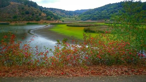 Scenic view of lake against sky
