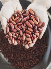 Close-up of hand holding coffee beans