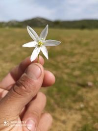 Close-up of hand holding flower