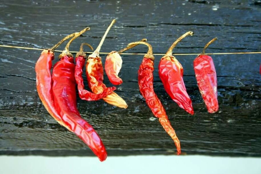 CLOSE-UP OF RED CHILI PEPPERS HANGING ON POLE