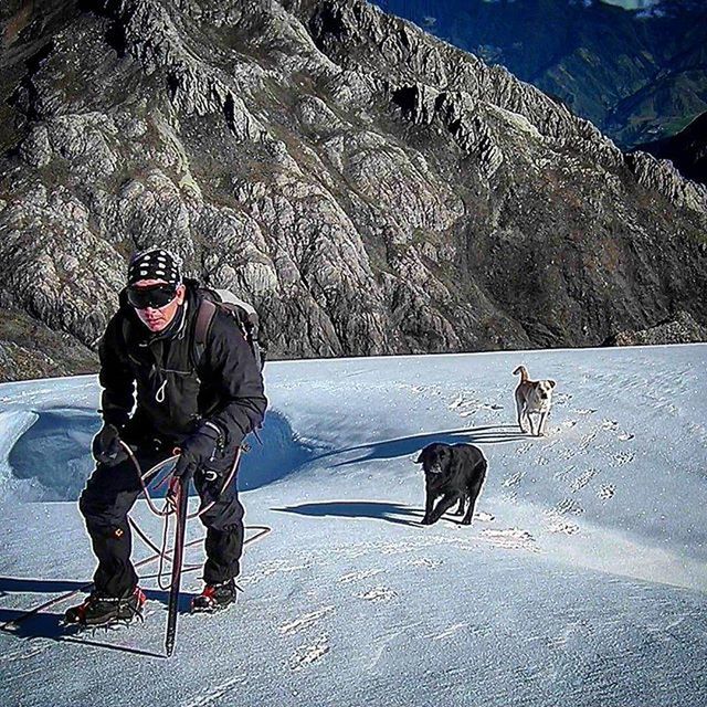 domestic animals, animal themes, mammal, pets, dog, one animal, two animals, full length, walking, road, street, standing, cold temperature, mountain, nature, snow, livestock, day, transportation, pet leash