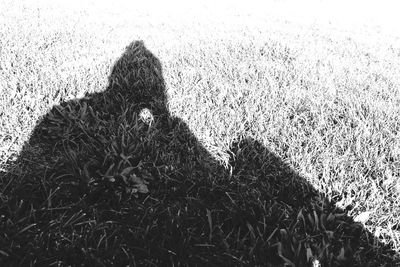 High angle view of shadows