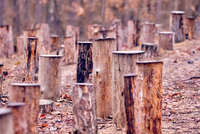 Close-up of rusty metal fence on field