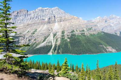 Magnificent turquoise colored water of glacier fed lake in the canadian rockies